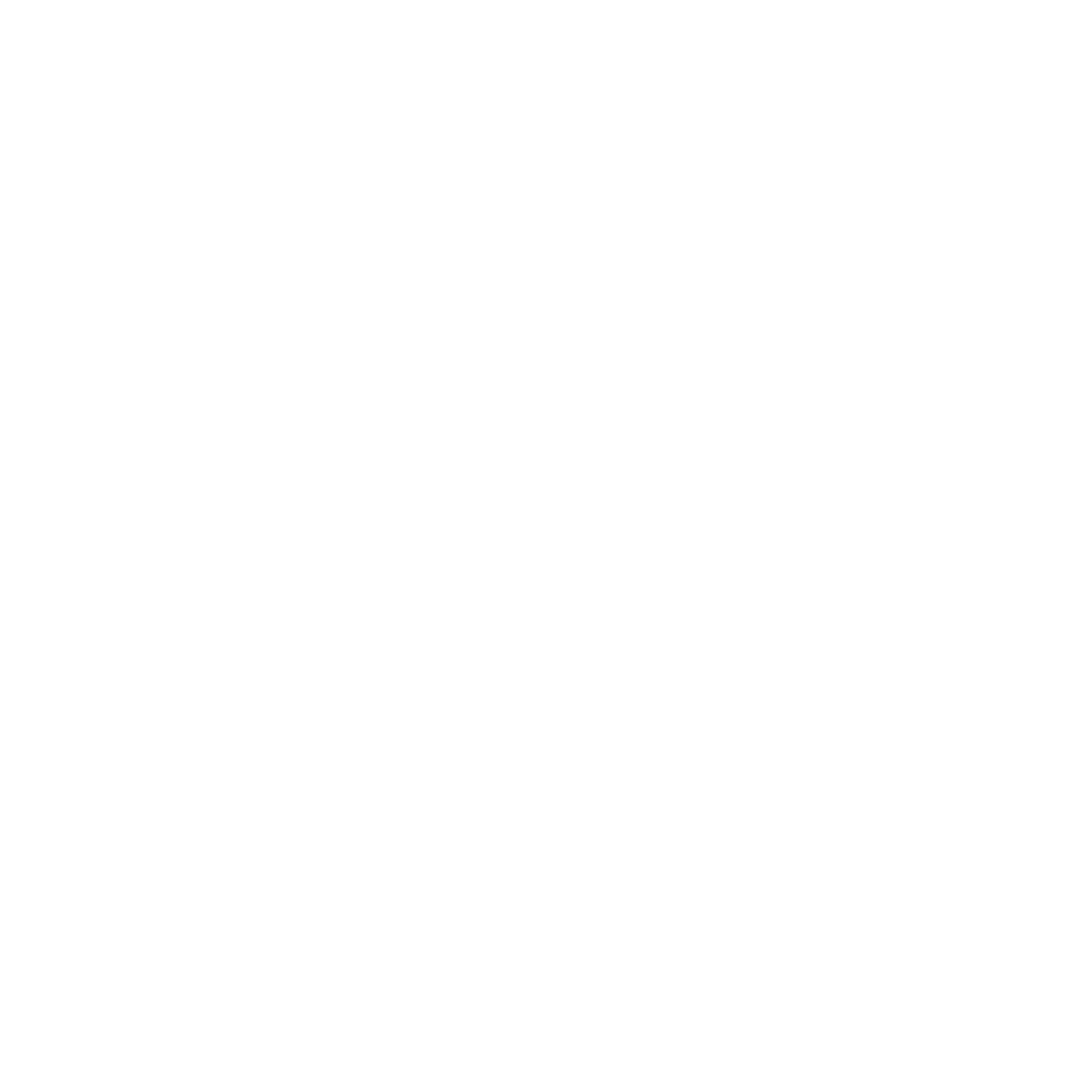 Bimser Logo — White